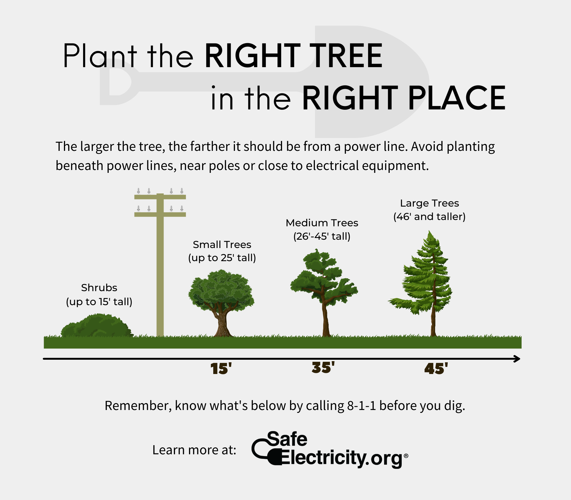 Plant the Right Tree in the Right Place