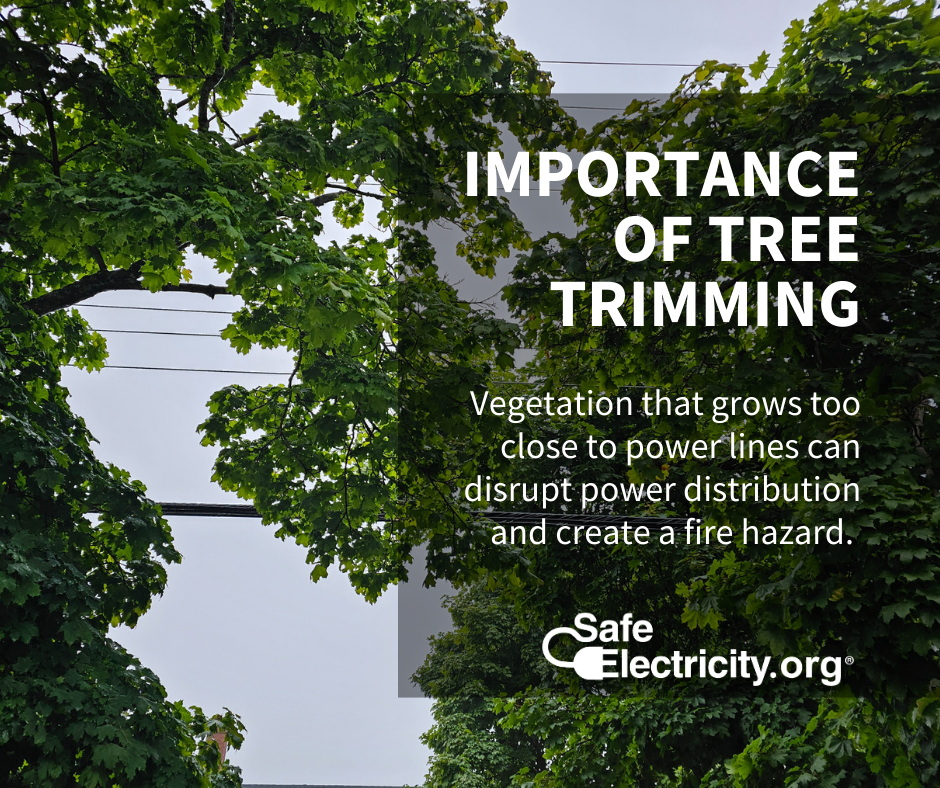 Importance of Tree Trimming