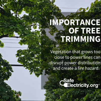 Importance of Tree Trimming